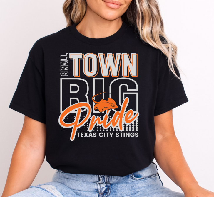 SMALL TOWN STINGS 0710