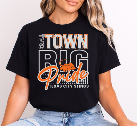 SMALL TOWN STINGS 0710