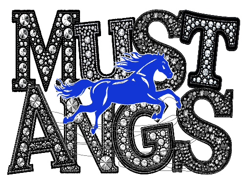 MUSTANG BLING